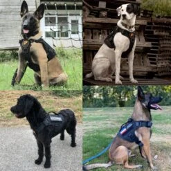 Always Prepared © Pro K9 Hondentuig - Anti Trek - Y Tuig - Middel En Grote Hond - Veiligheidstuig -Huisdierbenodigdheden 1200x1200 2000