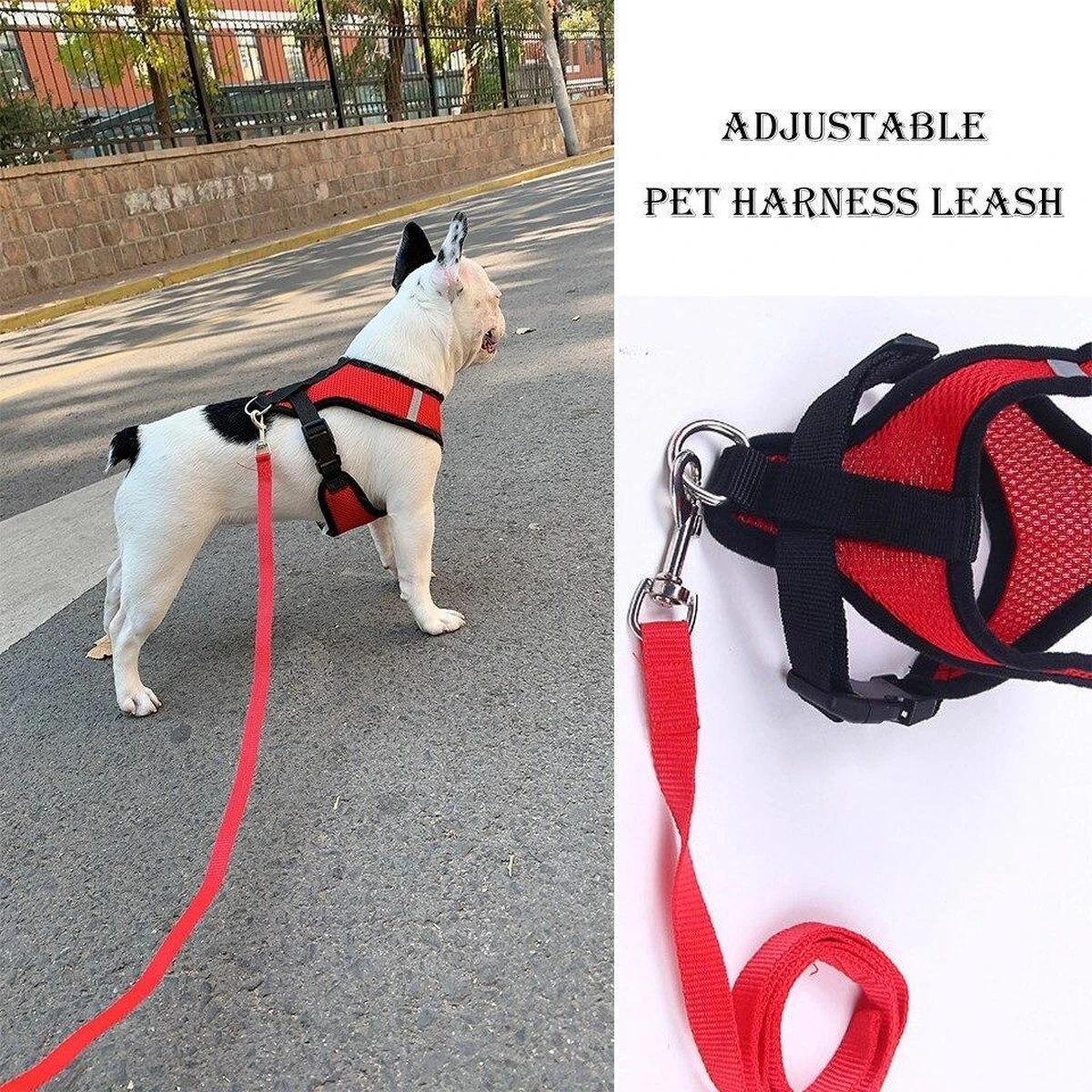 Hondentuig- Hondentuigjes Kleine Hond-hondentuigjes Puppy-Kattenspeeltjes-kat-dog-Kattenharnas-kattentuigje -kattentuigje Met Looplijn-maat M-Rood 2 Hondentuig- Hondentuigjes Kleine Hond-hondentuigjes Puppy-Kattenspeeltjes-kat-dog-Kattenharnas-kattentuigje -kattentuigje Met Looplijn-maat M-Rood - Afbeelding 2