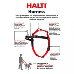 Company Of Animals Halti Harnass Hondentuigje - Anti Trektuigje - M - 60 Tot 80 Cm – Zwart -Huisdierbenodigdheden 1200x1200 2005