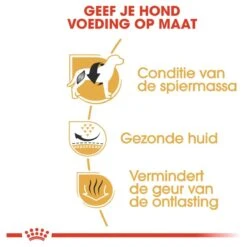 Royal Canin French Bulldog Adult 9 KG -Huisdierbenodigdheden 1200x1200 2013