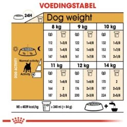 Royal Canin French Bulldog Adult 9 KG -Huisdierbenodigdheden 1200x1200 2014