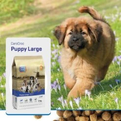 Carocroc Puppy Large Breed 15 KG -Huisdierbenodigdheden 1200x1200 2019