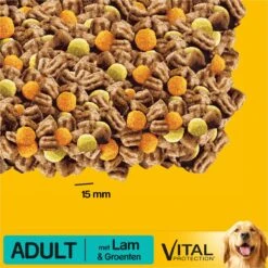 Pedigree Adult Honden Droogvoer - Lam - 10 Kg -Huisdierbenodigdheden 1200x1200 2026