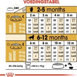 Royal Canin Golden Retriever Junior 12 KG -Huisdierbenodigdheden 1200x1200 2037