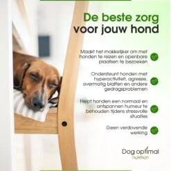 RUST EN KALMEREN CALMING Support 90 Stuks - Kalmeren - Antistressmiddel - Hond - Hondenkoekjes - Hondensupplementen - Honden - Puppy - Hondenvoeding -Huisdierbenodigdheden 1200x1200 2047