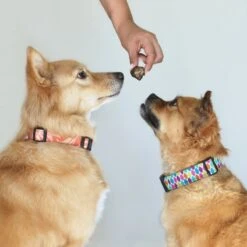 Topdiervoeding Lamslong Hondensnacks - Vers Gedroogd - Knapperig - 1 KG -Huisdierbenodigdheden 1200x1200 2054