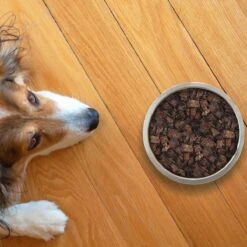 Topdiervoeding Lamslong Hondensnacks - Vers Gedroogd - Knapperig - 1 KG -Huisdierbenodigdheden 1200x1200 2055