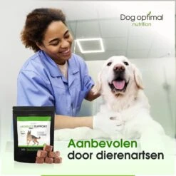 Dog Optimal Gewricht Supplement 90 Stuks - Mobility - Glucosamine Hond - Artrose - Heupdysplasie - Gewrichten - Hondensnacks - Hondenkoekjes - Hondensupplementen - Honden - Puppy - Hondenvoeding - Mankheid - HD - ED -Huisdierbenodigdheden 1200x1200 2060