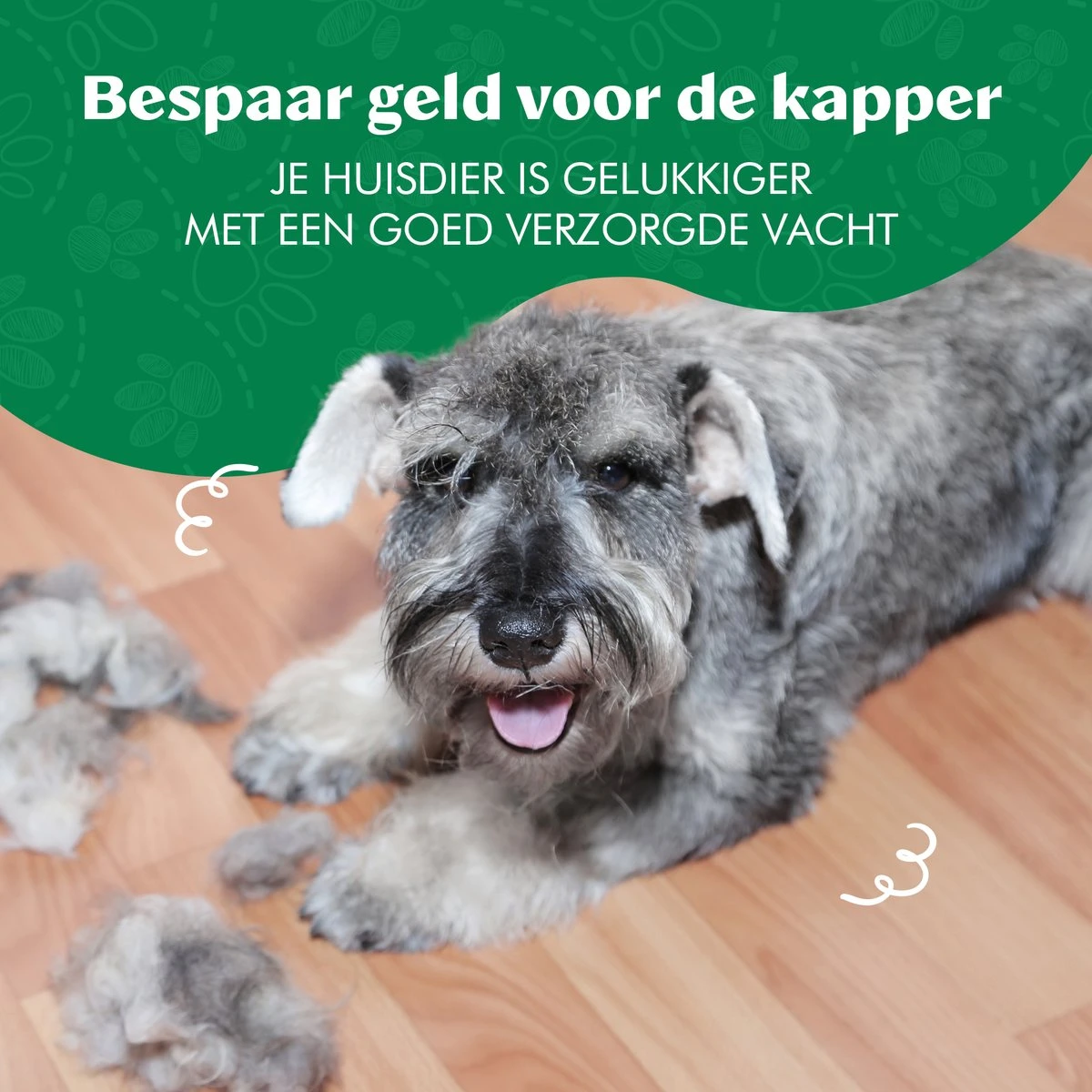 Mister Mill Professionele Set Honden Kattenborstel - Ondervachtkam Plus Slickerborstel 17 Mister Mill Professionele Set Honden Kattenborstel - Ondervachtkam Plus Slickerborstel - Afbeelding 17