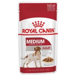 Royal Canin Shn Medium Adult Pouch - Hondenvoer - 10 X 140 G