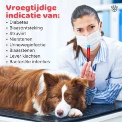 Thuistest Voor Honden - 2 Stuks - Urinetest - Diagnose Van Infecties - Diabetes - Blaasontsteking - Struviet - Nierstenen - Urineweginfectie - Blaasstenen -Huisdierbenodigdheden 1200x1200 2090