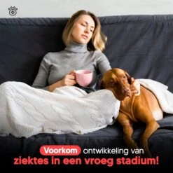 Thuistest Voor Honden - 2 Stuks - Urinetest - Diagnose Van Infecties - Diabetes - Blaasontsteking - Struviet - Nierstenen - Urineweginfectie - Blaasstenen -Huisdierbenodigdheden 1200x1200 2093