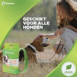Floremo - Vlooienband En Tekenband Voor Hond - 3 Maanden Bescherming - Anti Tekenmiddel -Huisdierbenodigdheden 1200x1200 2095
