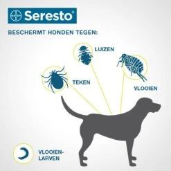Seresto Vlooien En Tekenband - Grote Hond - >8 Kg -Huisdierbenodigdheden 1200x1200 2100