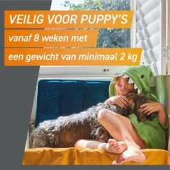 Frontpro Hond L 10-25 Kg 3 Tabletten -Huisdierbenodigdheden 1200x1200 2106