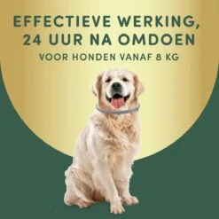 2 Stuks Vlooienband Grote Hond Tekenband - 100% Natuurlijk Veilig Diervriendelijk - 8 Maanden Werkzaam -Huisdierbenodigdheden 1200x1200 2110