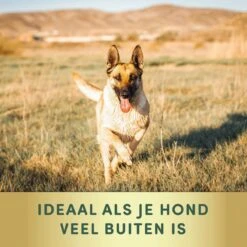 2 Stuks Vlooienband Grote Hond Tekenband - 100% Natuurlijk Veilig Diervriendelijk - 8 Maanden Werkzaam -Huisdierbenodigdheden 1200x1200 2112