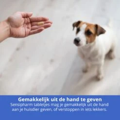 Sensipharm Anal Gland Support Hond - Bij Verstopte En Ontstoken Anaalklieren - Natuurlijk Voedingssupplement - 90 Tabletten à 1000 Mg -Huisdierbenodigdheden 1200x1200 2115