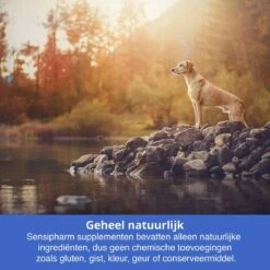 Sensipharm Anal Gland Support Hond - Bij Verstopte En Ontstoken Anaalklieren - Natuurlijk Voedingssupplement - 90 Tabletten à 1000 Mg -Huisdierbenodigdheden 1200x1200 2116