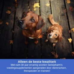Sensipharm Anal Gland Support Hond - Bij Verstopte En Ontstoken Anaalklieren - Natuurlijk Voedingssupplement - 90 Tabletten à 1000 Mg -Huisdierbenodigdheden 1200x1200 2118