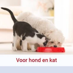 Pharmox Hond & Kat Glucosamine 1000 Ml - Belangrijke Bouwsteen Voor Honden En Katten - Geschikt Voor Ieder Type Hond Of Kat -Huisdierbenodigdheden 1200x1200 2121