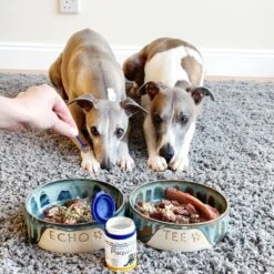 ProDen PlaqueOff Powder – 100% Natuurlijke Gebitsreiniging Voor Honden - Met Doseerschepje - 60 Gram -Huisdierbenodigdheden 1200x1200 2123