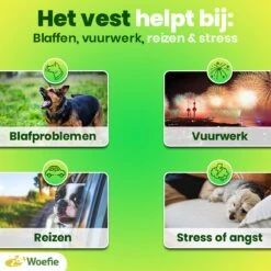 Woefie Honden Anti Stress Vest - Hond Blaffen - Maat S - Reflecterend - Thundershirt - Grijs 15 Woefie Honden Anti Stress Vest - Hond Blaffen - Maat S - Reflecterend - Thundershirt - Grijs -Huisdierbenodigdheden 1200x1200 2128