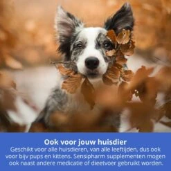 Sensipharm Feelings Control Anti-Stress Voor Hond En Kat - Kalmerend En Rustgevend Voedingssupplement Bij Stress, Angst En Agressie - 90 Tabletten à 1000 Mg -Huisdierbenodigdheden 1200x1200 2135