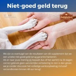 K9 Laboratories Gewricht & Heup Senior - 60 Stuks - Voor Oude Honden - Collageen - Glucosamine - Spirulina - Groenlipmossel -Huisdierbenodigdheden 1200x1200 2146