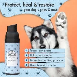 BELLY Paw & Nose Cream - Honden Huidverzorging - Hondenpoten & Hondenneus Crème, Pootverzorging Voor Zachte & Beschermde Voetkussens - 50ml -Huisdierbenodigdheden 1200x1200 2152