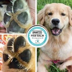 Poot Balsem – Neus Balsem - Huisdieren – Dieren – Poot Verzorging / Neus Verzorging – Verzorging Droge En Gebarsten Poten – Snelwerkende Formule - Hydraterend – Bio Balm - Potenbalsem - Neusbalsem - 60 Gram -Huisdierbenodigdheden 1200x1200 2158