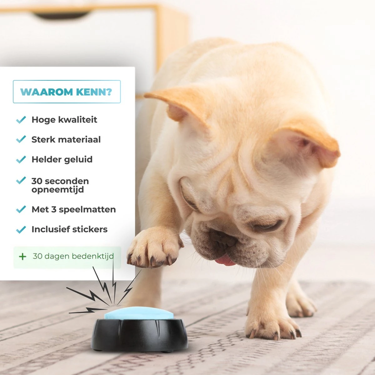 KENN® Hondenpraatknoppen - 6 Stuks - Inclusief Speelmatten - Dog Buttons - Hondenspeelgoed - Opneembare Praatknoppen - Hondentraining - Interactief Hondenspeelgoed 2 KENN® Hondenpraatknoppen - 6 Stuks - Inclusief Speelmatten - Dog Buttons - Hondenspeelgoed - Opneembare Praatknoppen - Hondentraining - Interactief Hondenspeelgoed - Afbeelding 2