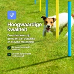 Tavaro Agility Voor De Hond - Honden Training - Hondentunnel - Springhoepel - Horde - Slalom - Honden Behendigheid Trainingsset 12 Tavaro Agility Voor De Hond - Honden Training - Hondentunnel - Springhoepel - Horde - Slalom - Honden Behendigheid Trainingsset -Huisdierbenodigdheden 1200x1200 2180