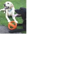 Happy Pet Grubber Interactieve Voetbal Blauw (18X18X18 CM) -Huisdierbenodigdheden 1200x1200 2193