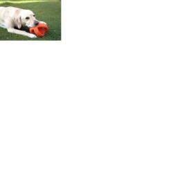 Happy Pet Grubber Interactieve Voetbal Blauw (18X18X18 CM) -Huisdierbenodigdheden 1200x1200 2194