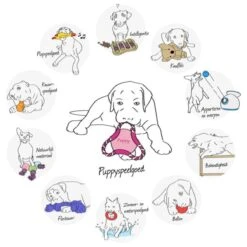 Trixie Honden Activity Flip Board - Hondenspeelgoed - Wit/Blauw - 23 Cm 13 Trixie Honden Activity Flip Board - Hondenspeelgoed - Wit/Blauw - 23 Cm -Huisdierbenodigdheden 1200x1200 2197