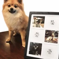 Merkloos Paw Print Pad - Pootafdruk Maken Van Hond Of Kat -Huisdierbenodigdheden 1200x1200 2235