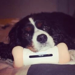 Cheerble Wickedbone|Automatisch Hondenspeeltje|Interactief En Intelligent Speelgoed Voor Honden|App & Bluetooth Bestuurbaar|USB Oplaadbaar -Huisdierbenodigdheden 1200x1200 2258
