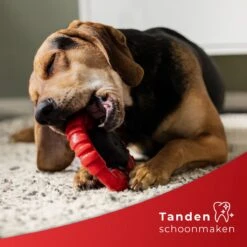 Kauwbot Stuurwiel 2.0 Extra Sterk Melk Geur Smaak En Piep Honden Speelgoed - Kauwspeelgoed Bot Hond - Dutchwide -Huisdierbenodigdheden 1200x1200 2265