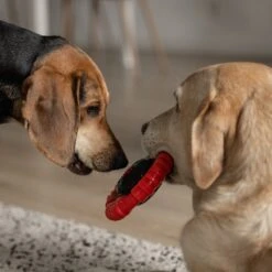 Kauwbot Stuurwiel 2.0 Extra Sterk Melk Geur Smaak En Piep Honden Speelgoed - Kauwspeelgoed Bot Hond - Dutchwide -Huisdierbenodigdheden 1200x1200 2268