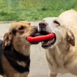 Kauwbot Stuurwiel 2.0 Extra Sterk Melk Geur Smaak En Piep Honden Speelgoed - Kauwspeelgoed Bot Hond - Dutchwide -Huisdierbenodigdheden 1200x1200 2269