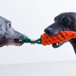 NufNuf - Hondenspeelgoed - Wortel - Stevig En Duurzaam Designspeelgoed -Huisdierbenodigdheden 1200x1200 2272