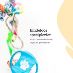 All 4 Pets Supply® Honden Speelgoed Set Geschikt Voor Puppy's T/m Middelgrote Honden - 12 Stuks - Hondenspeeltjes - Intelligentie - Touw - Flostouw - Bijtring - Bal -Huisdierbenodigdheden 1200x1200 2295