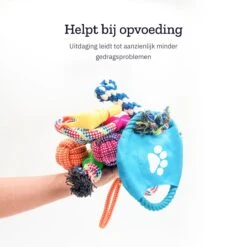 All 4 Pets Supply® Honden Speelgoed Set Geschikt Voor Puppy's T/m Middelgrote Honden - 12 Stuks - Hondenspeeltjes - Intelligentie - Touw - Flostouw - Bijtring - Bal -Huisdierbenodigdheden 1200x1200 2296