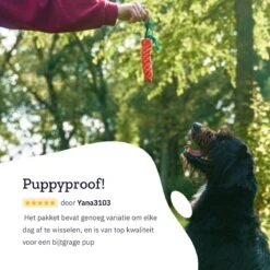 All 4 Pets Supply® Honden Speelgoed Set Geschikt Voor Puppy's T/m Middelgrote Honden - 12 Stuks - Hondenspeeltjes - Intelligentie - Touw - Flostouw - Bijtring - Bal -Huisdierbenodigdheden 1200x1200 2299