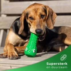 Tandenborstel Hond Melk Geur Smaak En Piep Honden Speelgoed Dog Toy - Krokodil Groen - Dutchwide -Huisdierbenodigdheden 1200x1200 2307