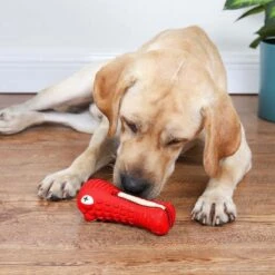 Tandenborstel Hond Melk Geur Smaak En Piep Honden Speelgoed Dog Toy - Krokodil Groen - Dutchwide -Huisdierbenodigdheden 1200x1200 2311