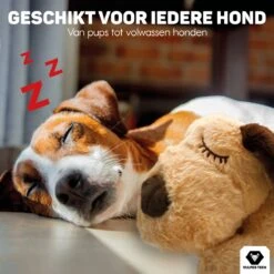 Vulpes Pets® Knuffel Hond Met Hartslag – Puppyknuffel - Hondenknuffel Voor Puppy - Snuggle Puppy - Knuffel Met Hartslag En Gratis Warmte Pad Speciaal Voor Puppy's -Huisdierbenodigdheden 1200x1200 2319