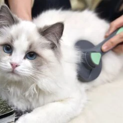 Pakeway Kattenborstel – Hondenborstel – Haarverwijderaar Voor Huisdieren – Kattenkam - Kortharig - Langharig - Inclusief Ebook! -Huisdierbenodigdheden 1200x1200 232