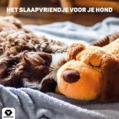 Vulpes Pets® Knuffel Hond Met Hartslag – Puppyknuffel - Hondenknuffel Voor Puppy - Snuggle Puppy - Knuffel Met Hartslag En Gratis Warmte Pad Speciaal Voor Puppy's -Huisdierbenodigdheden 1200x1200 2320